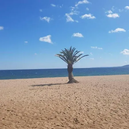 Le Chant De La Mer- Frejus Plage Fréjus